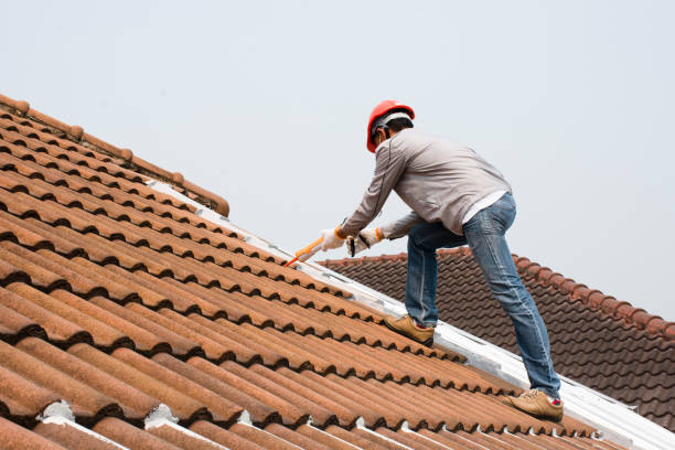 Best Asphalt Shingles Roofing  in Rockwood, TN